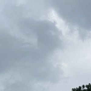 Meet your Posher, Sab